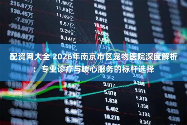 配资网大全 2026年南京市区宠物医院深度解析：专业诊疗与暖心服务的标杆选择