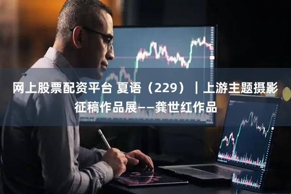网上股票配资平台 夏语（229）｜上游主题摄影征稿作品展——龚世红作品